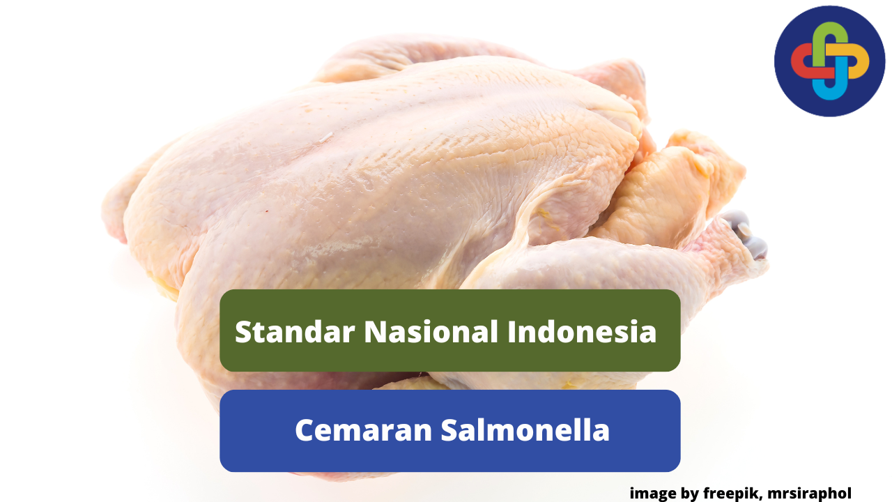 Berikut Ini Ulasan Tentang  SNI Cemaran Salmonella Pada Daging Ayam